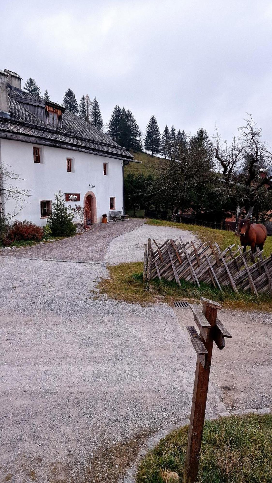 Sonnleit'N Zimmer 6 Abtenau Exterior foto